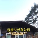 휴양림길 | 의성숙소 금봉자연휴양림 휴양관 205호 6인실 후기 의성가족여행