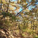 구평동-22 이미지