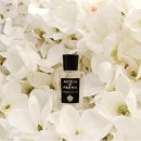 [향수 후기] 아쿠아디파르마 매그놀리아 인피니타 100ml : 노트, 착향 후기, 최저가 내돈내산 후기