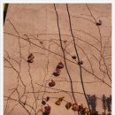 효동회관 이미지