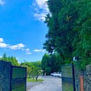 애원민박 이미지