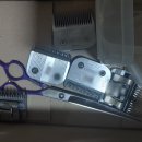 펫미장원 이미지