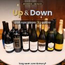 [사내와인동호회] 블루 포레 뒤 뱅 #와인모임후기 - 업 앤 다운 (Up &amp; Down) #사내와인동호회