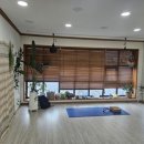 [대구요가/삼덕동요가] 저스트휴요가 원데이 대구요가 체험!
