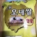 철원새마을금고 미곡종합처리장 | 철원 오대쌀 - 철원새마을금고미곡종합처리장