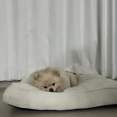 나루터로12길 7 | [일상] 평범한 일상에 행복을 느끼는 11월 생일 주간 일상