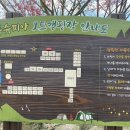 초록슈피아 이미지