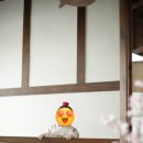 [아이민 스튜디오] 아기 촬영 후기