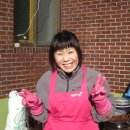 잔비어스 이미지