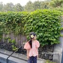 블랑블랑 이미지