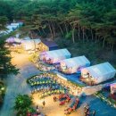 하계 배드민턴장 이미지