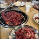 고기스타 이미지