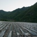 산길민박 이미지