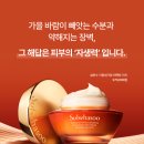 기획에반하다