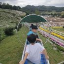 임실자연농원 이미지