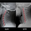성신사우나 이미지