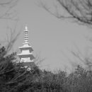 화이트사 이미지