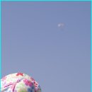 곡성기차마을 패러글라이딩체험 이미지