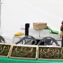 고초령 산양삼 이미지