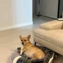 에이스목장 | 3월 일기 (제주도 여행 후기)