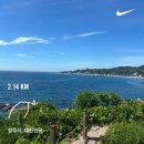 리노브 | 3] 임신 준비 기간동안 먹은 내돈내산 영양제 후기(리노브 활성엽산,닥터올로지 활성엽산), 원주 보건소...