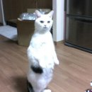 갤러리마트
