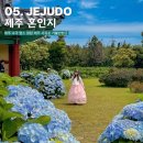 지에스25 제주섭지코지점 | 제주 서귀포 가볼만한곳 6월 제주도 여행 혼인지 수국