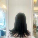 세븐일레븐 성신여대입구점 | [성신여대 미용실 리안헤어]에서 염색+커트 받고 인생머리(디자이너 예서)