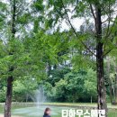 [이천가볼만한곳]정원이 예쁜 티하우스에덴 더글로리 촬영지