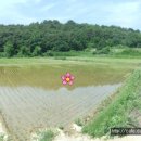 경남고성부동산.. 고성읍 탁트인 들판풍경의 토지, 전원주택지매매입니다.. 268평 이미지