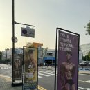 계양구 테이스트피트니스PT 24시 헬스장 등록한 후기