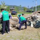 양보생활체육공원 이미지