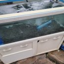 풍성한회나라 이미지