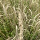 하눅베이커리 이미지