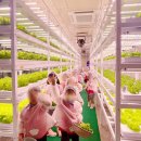 지엘어린이집 이미지