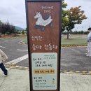 제4회 렛츠런파크 경주로 마라톤 경쟁런 3.6km 참가 후기