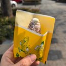 충무한우농장 | 3월의 기록_강릉에서 약 두달살기 (1)