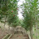 오소재민박 이미지