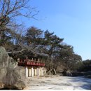 울산대곡박물관 이미지