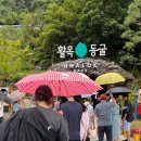 목벌길 | 충주 활옥동굴 관람후기 + 수국여울 카페 코스 추천