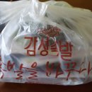 감성족발김포