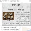 한국사능력검정시험 41회 중급 1번 : 슴베찌르개가 사용되던 구석기 시대 이미지