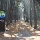 천사어린이공원 이미지