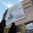 디딤돌 이미지