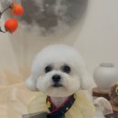 위드뚜뚜 이미지