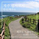 초원골프 | 제주 섭지코지 후기, 바람·초원·바다가 만든 최고의 산책길