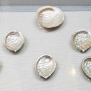 부산해양자연사박물관 이미지