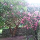 김광석 농장 이미지