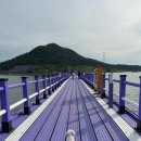 [신안 퍼플섬 애견 동반 여행] 퍼플교 반월도 박지도 둘레길 소요시간