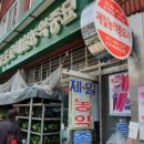 제일농약종묘사 이미지